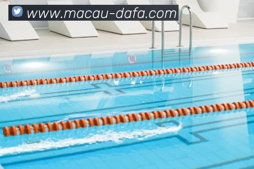 大发彩票发展历程